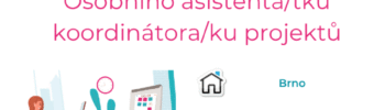 Humansoft.it Osobní asistentka, koordinátorka projektů